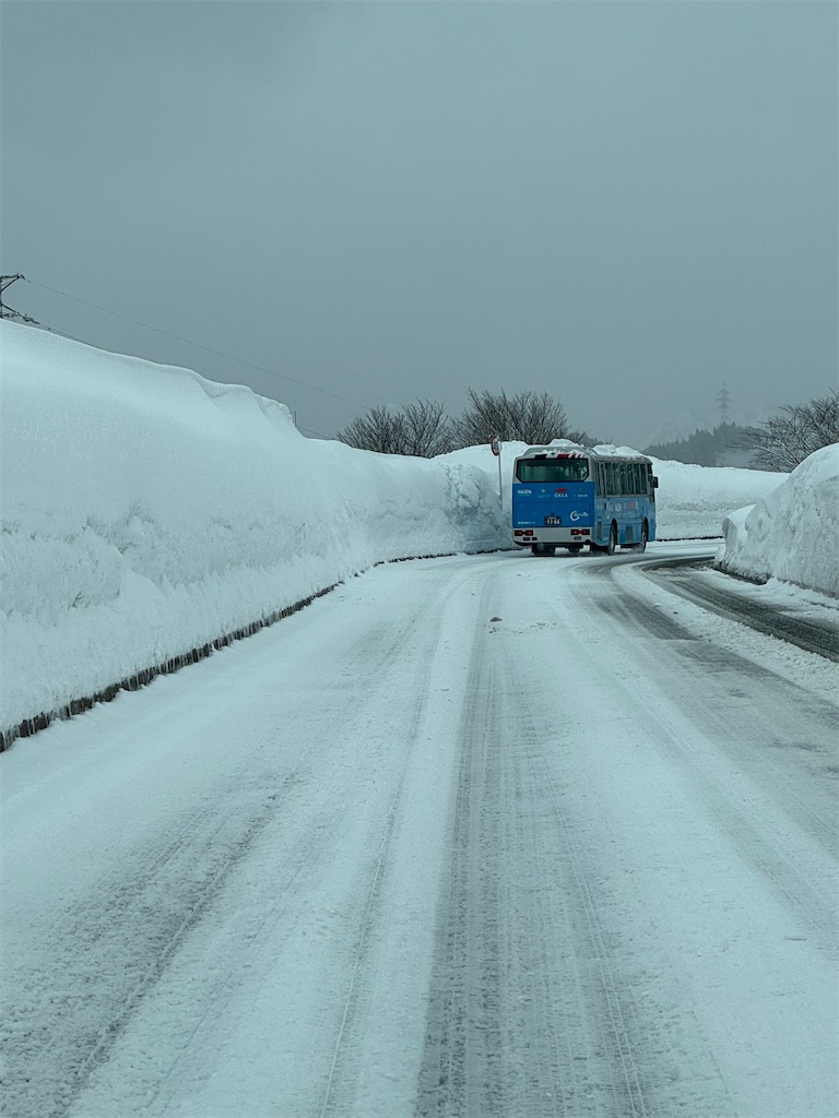 f:id:x_makocchi:20250118172212j:image f:id:x_makocchi:20250118172212j:image