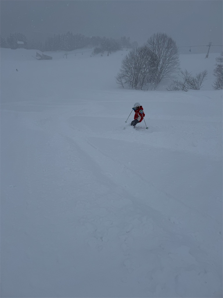 f:id:x_makocchi:20250118214808j:image f:id:x_makocchi:20250118214808j:image