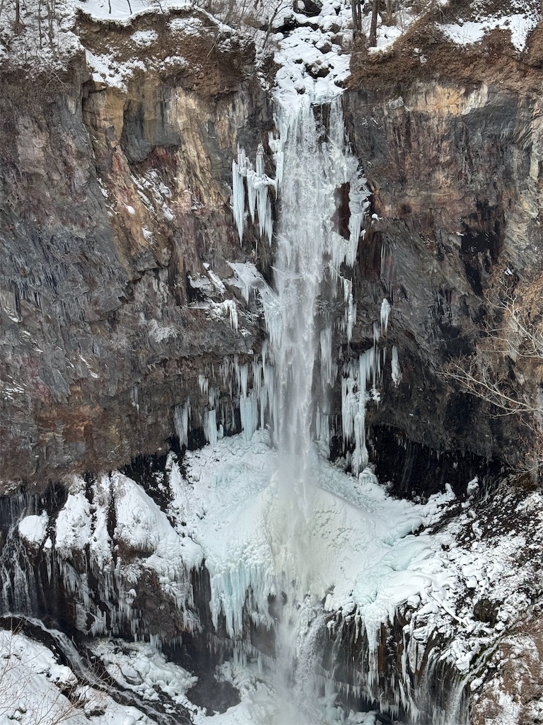 f:id:x_makocchi:20250225082621j:image f:id:x_makocchi:20250225082621j:image