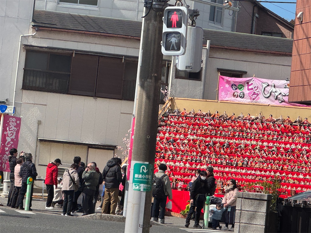 f:id:x_makocchi:20250225091204j:image f:id:x_makocchi:20250225091204j:image