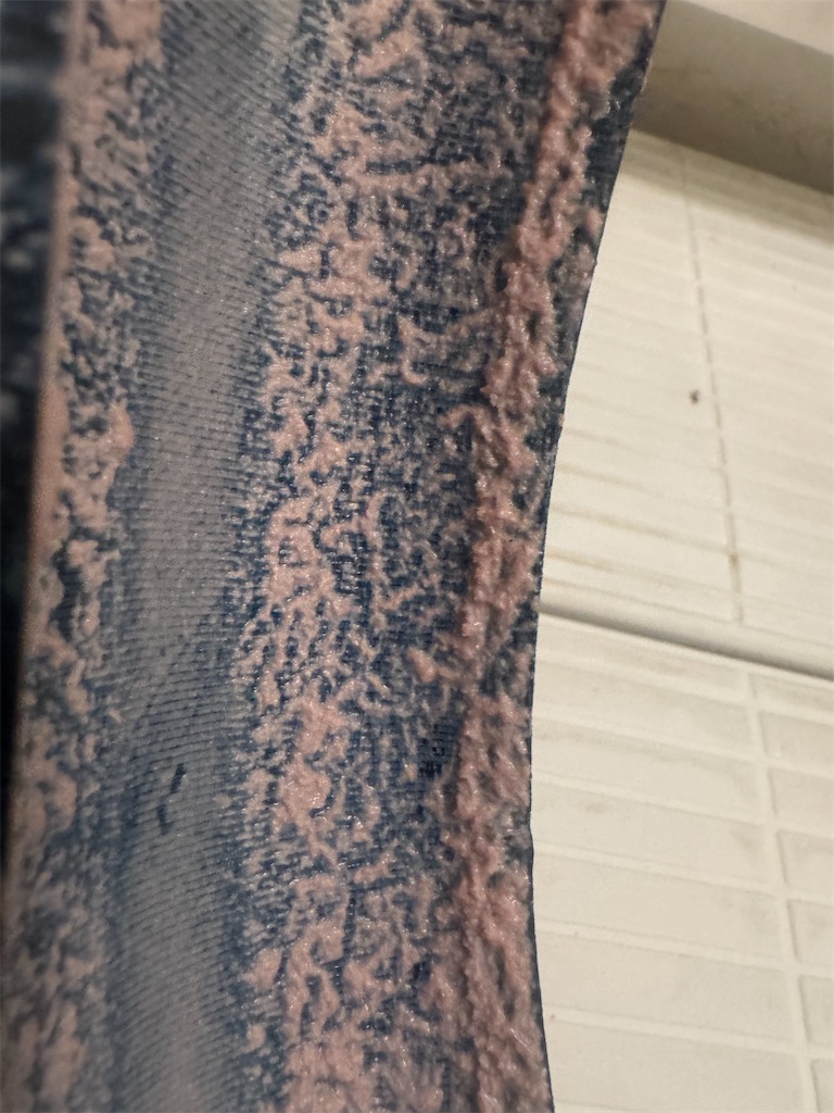 f:id:x_makocchi:20260127085250j:image