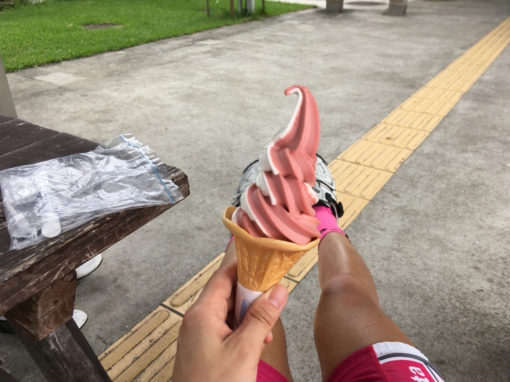 f:id:x_mizucha:20170814095202j:plain f:id:x_mizucha:20170814095202j:plain