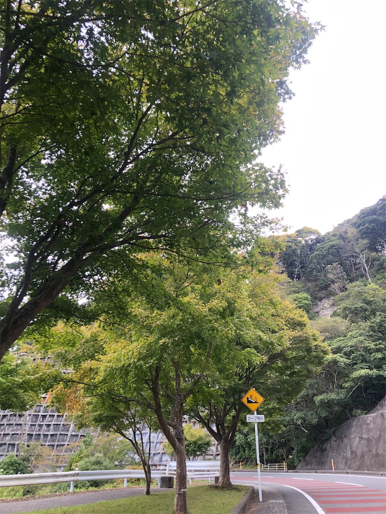 f:id:x_mizucha:20231014182236j:image f:id:x_mizucha:20231014182236j:image