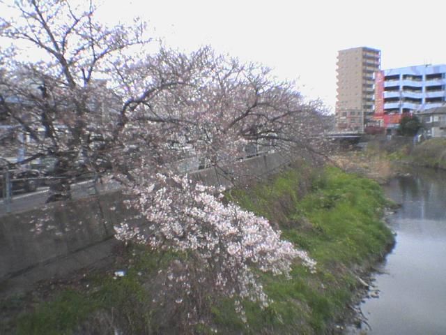 f:id:x_moti_x:20070331152958j:image