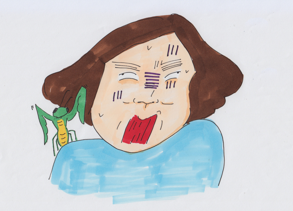 f:id:x_yama:20180519222155j:plain f:id:x_yama:20180519222155j:plain