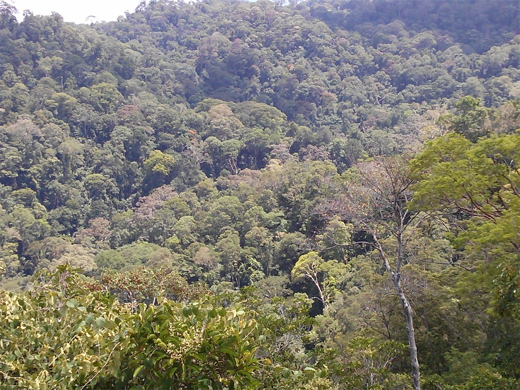 f:id:xab:20210423135104j:image