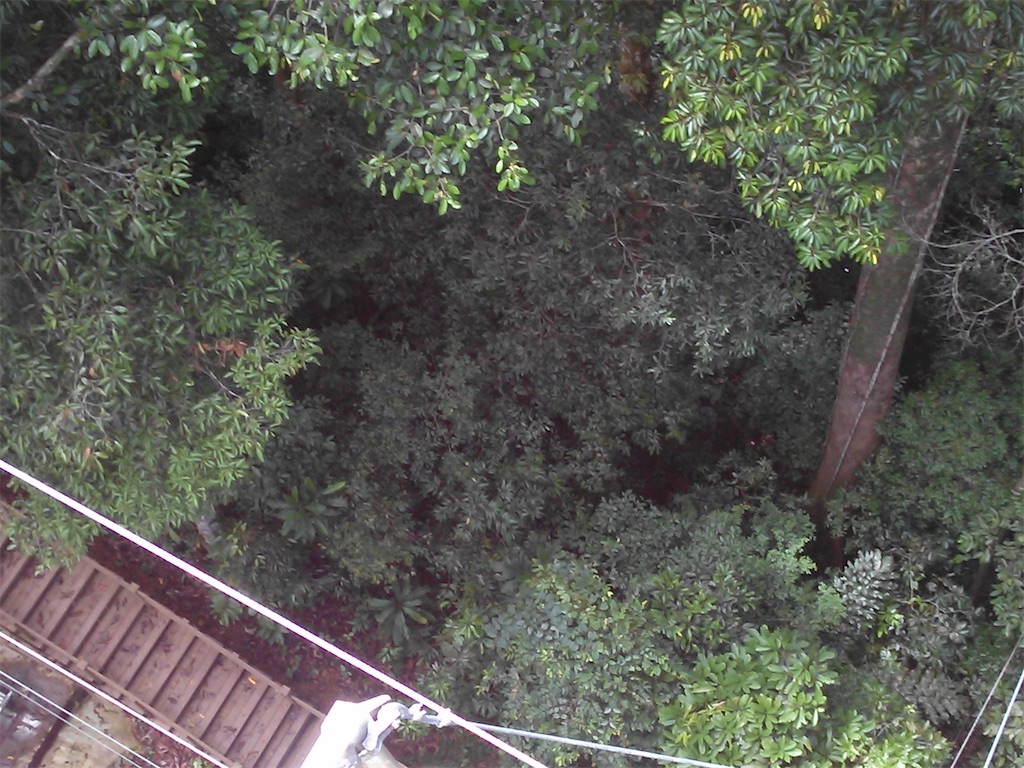 f:id:xab:20210423135124j:image