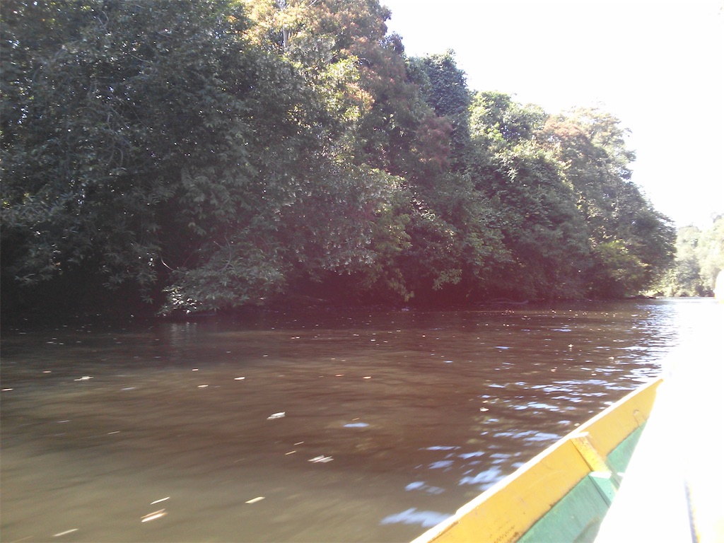 f:id:xab:20210423135151j:image