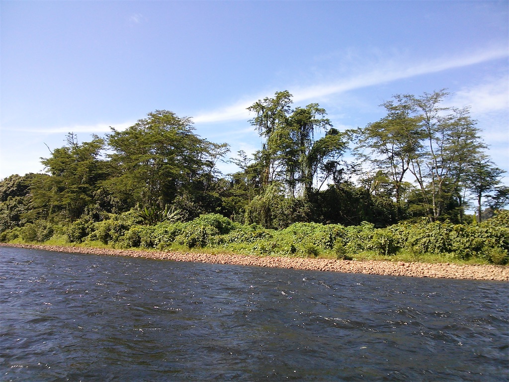 f:id:xab:20210423135224j:image