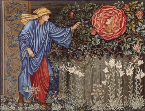 エドワード バーン ジョーンズ シリーズ 薔薇物語 Xai