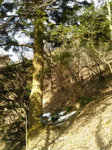f:id:xalakawa:20170320180507j:plain f:id:xalakawa:20170320180507j:plain