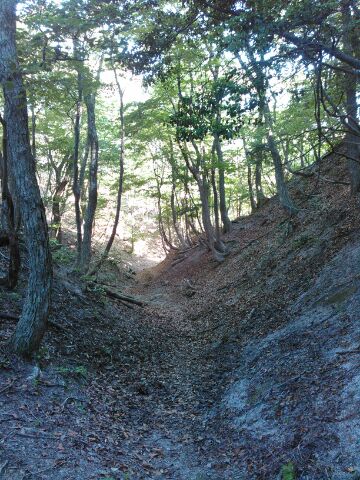 f:id:xalakawa:20170618163128j:plain f:id:xalakawa:20170618163128j:plain