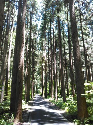 f:id:xalakawa:20170618163220j:plain f:id:xalakawa:20170618163220j:plain