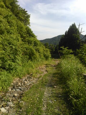 f:id:xalakawa:20170618163448j:plain f:id:xalakawa:20170618163448j:plain