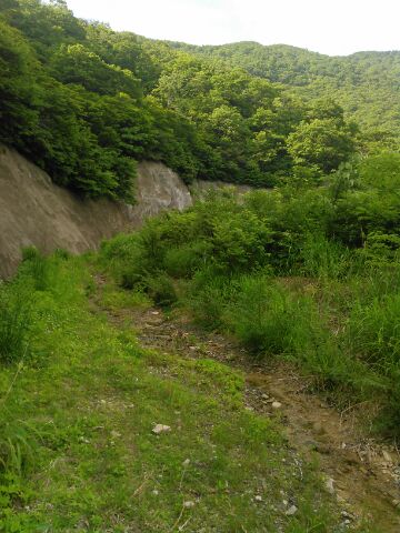 f:id:xalakawa:20170618163741j:plain f:id:xalakawa:20170618163741j:plain