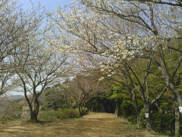 f:id:xalakawa:20180329183644j:plain f:id:xalakawa:20180329183644j:plain