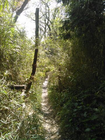 f:id:xalakawa:20180329183755j:plain f:id:xalakawa:20180329183755j:plain