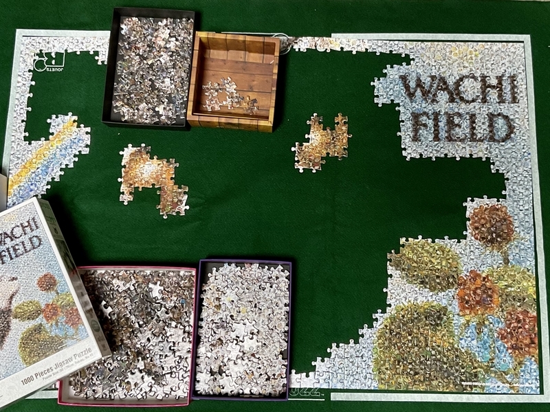 モザイクアート ジグソーパズル 1000ピース 進捗状況【一週間】 - ルイ