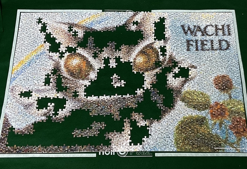 モザイクアート ジグソーパズル 1000ピース 進捗状況【一週間】 - ルイ