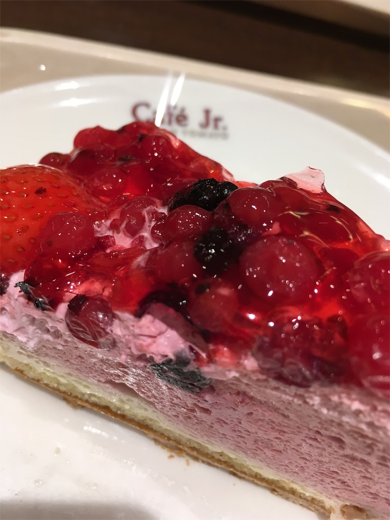 f:id:xfleurx:20170611181055j:image