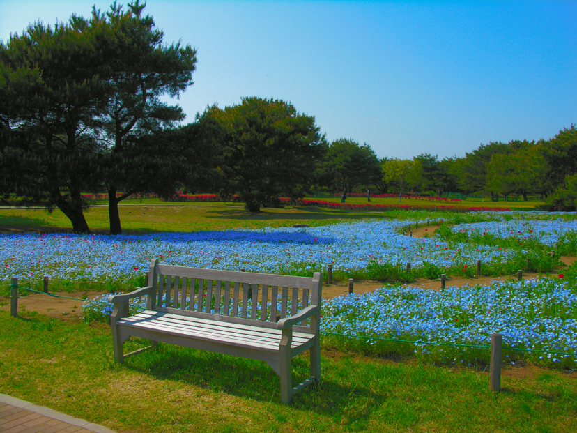 f:id:xfuyuki:20180430135515j:plain f:id:xfuyuki:20180430135515j:plain