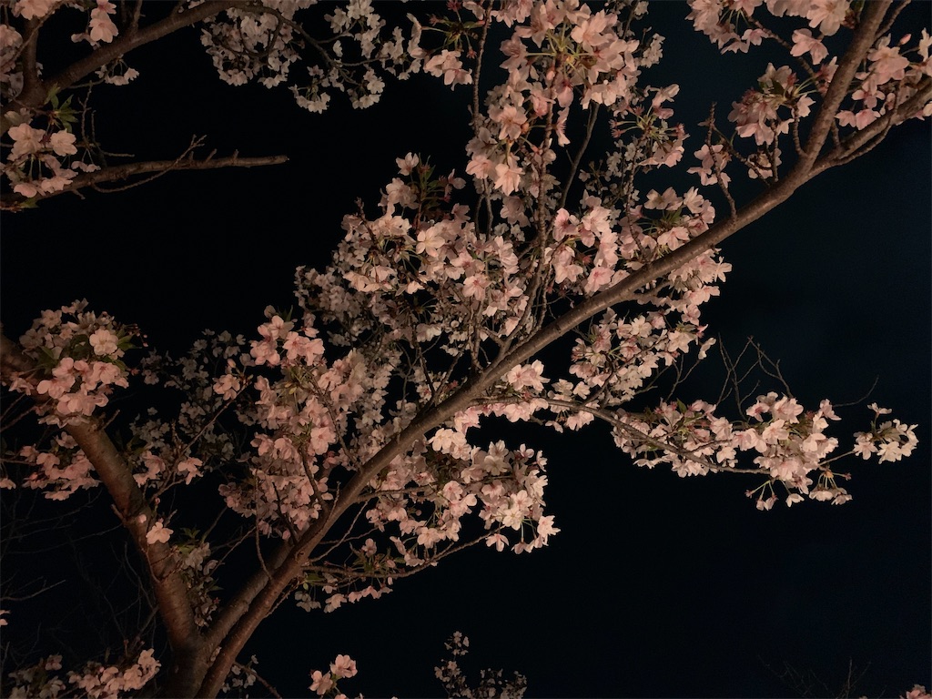 f:id:xgma1980:20210329232327j:image