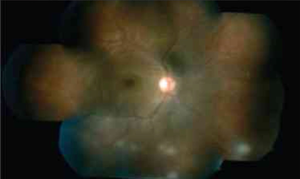 f:id:xharu14:20200804001121j:image f:id:xharu14:20200804001121j:image