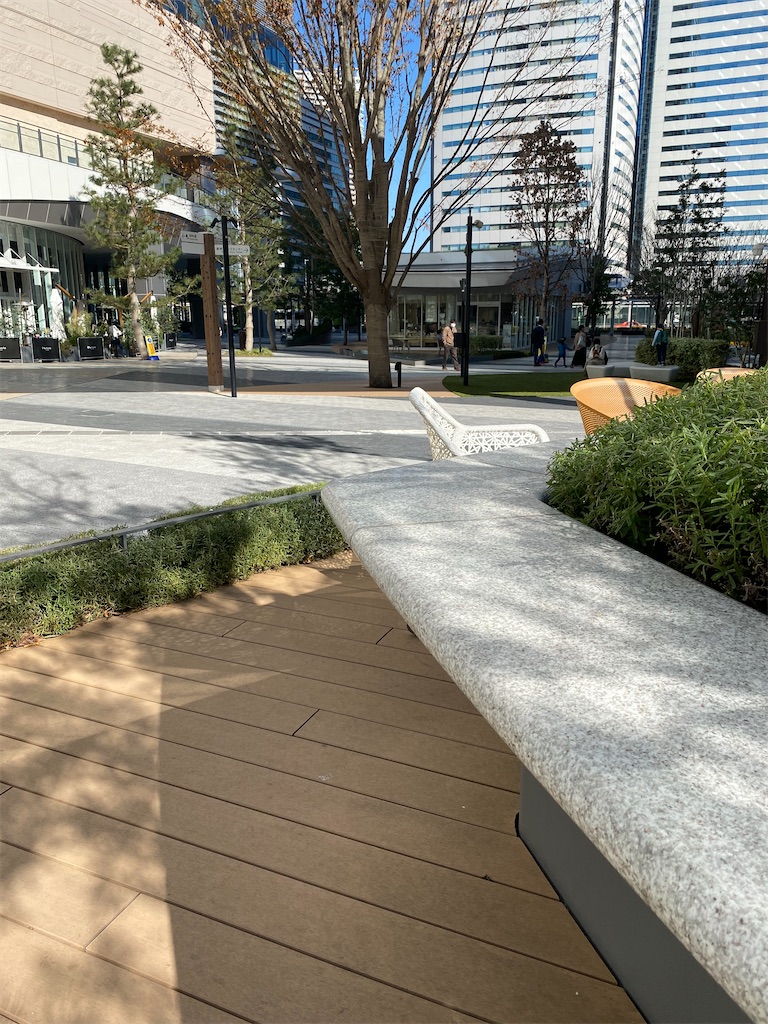 f:id:xiahxx:20201122130613j:image