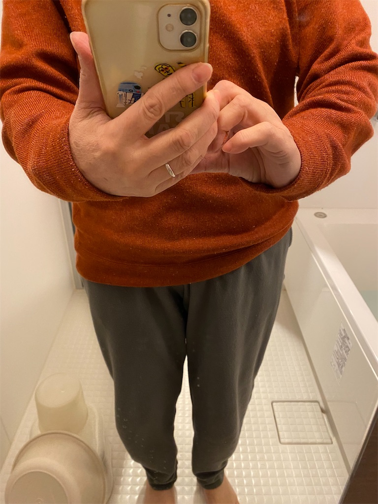 f:id:xiahxx:20220202124657j:image