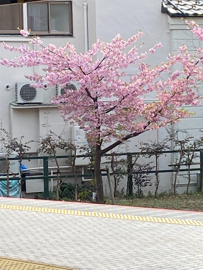 f:id:xiahxx:20220313154708j:image