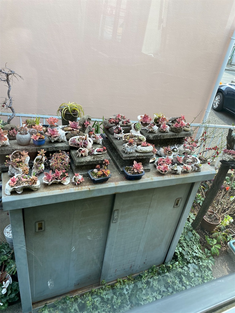 f:id:xiahxx:20220313154716j:image