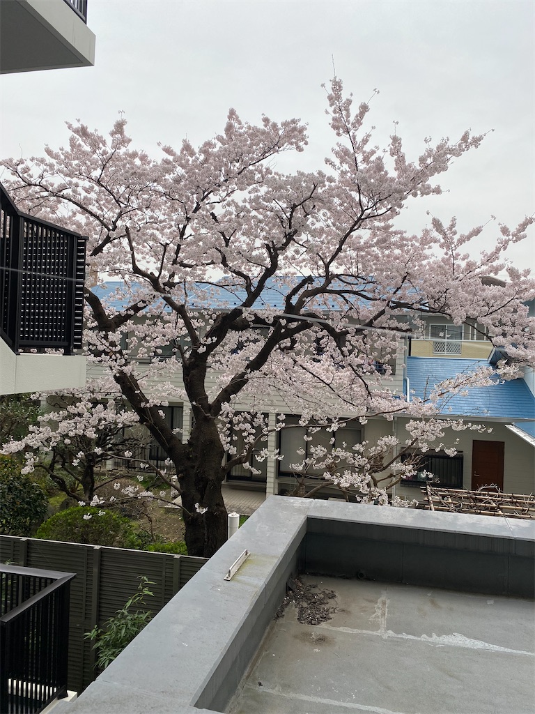 f:id:xiahxx:20220330123342j:image