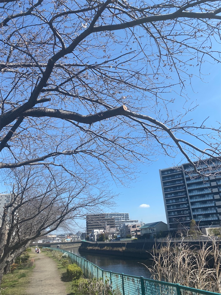 f:id:xiahxx:20230316120318j:image