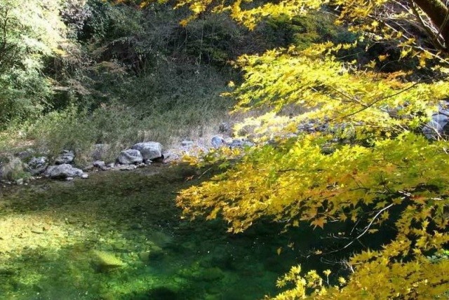 f:id:xian_golden_bridge:20091020232713j:image