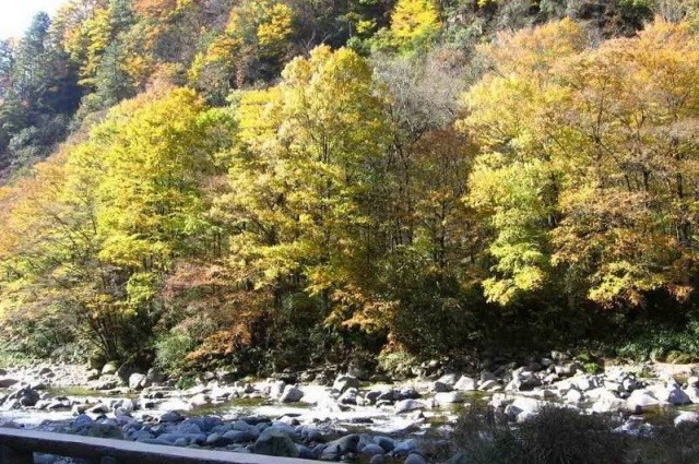 f:id:xian_golden_bridge:20091020232806j:image