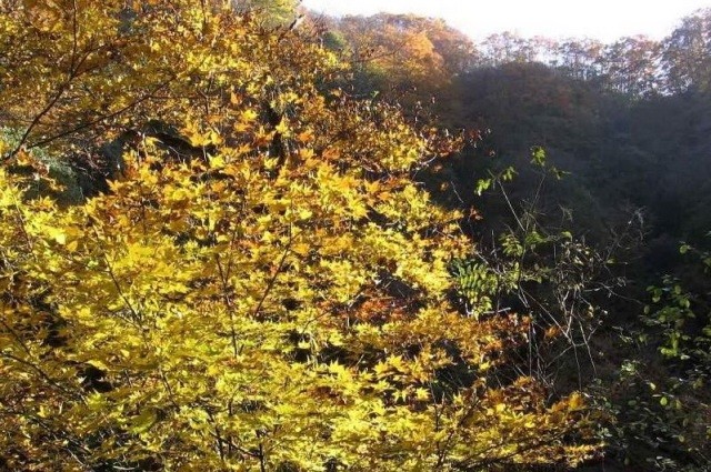 f:id:xian_golden_bridge:20091020233111j:image