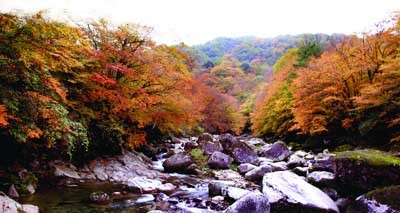f:id:xian_golden_bridge:20091027225007j:image
