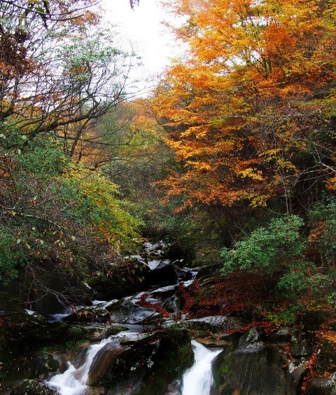 f:id:xian_golden_bridge:20091028003911j:image