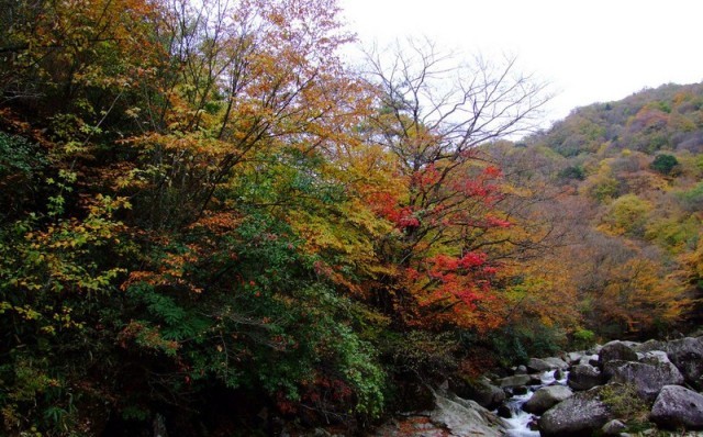 f:id:xian_golden_bridge:20091028003912j:image