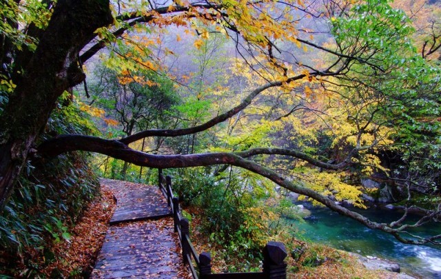 f:id:xian_golden_bridge:20091028003916j:image