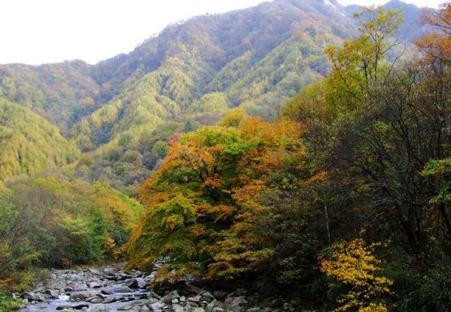 f:id:xian_golden_bridge:20091028003917j:image