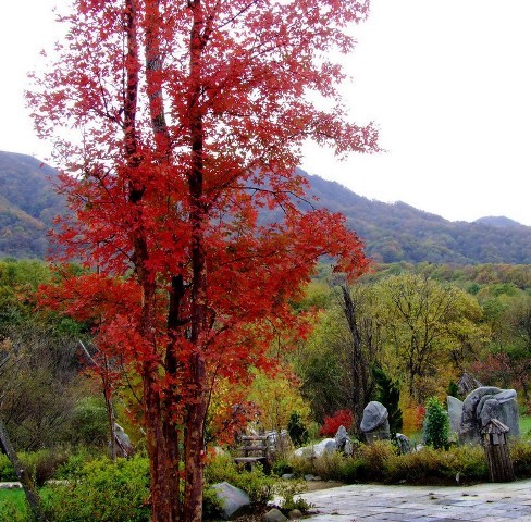 f:id:xian_golden_bridge:20091028003918j:image