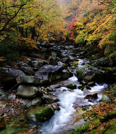 f:id:xian_golden_bridge:20091028003919j:image