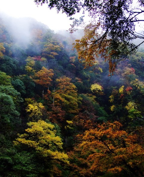 f:id:xian_golden_bridge:20091028003920j:image