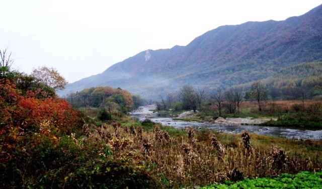 f:id:xian_golden_bridge:20091028003921j:image