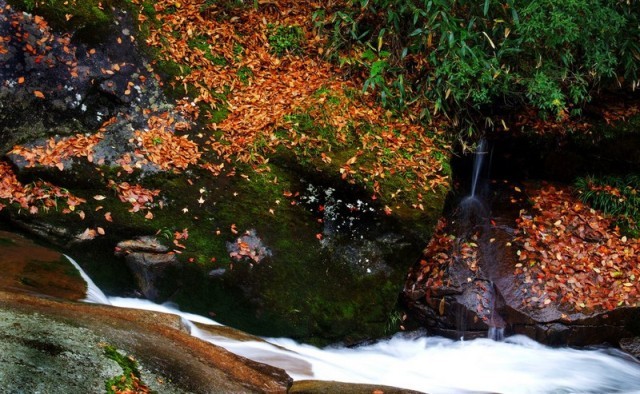 f:id:xian_golden_bridge:20091028003949j:image