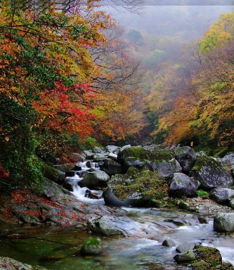 f:id:xian_golden_bridge:20091028003952j:image