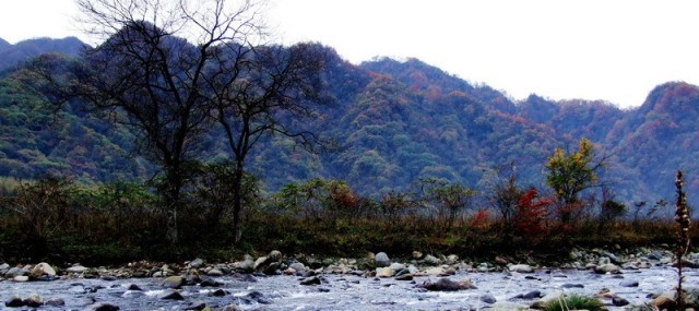 f:id:xian_golden_bridge:20091028003953j:image
