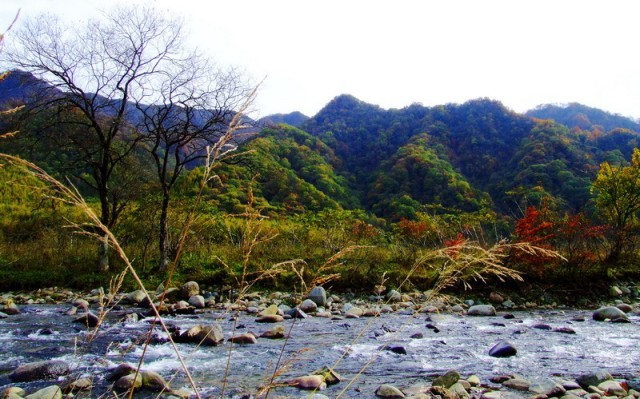 f:id:xian_golden_bridge:20091028003954j:image