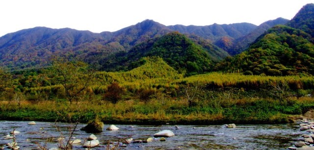 f:id:xian_golden_bridge:20091028003955j:image